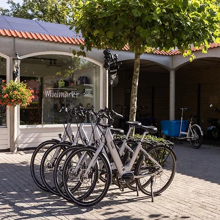 In Brabant With Garden & Bbq * Heikant