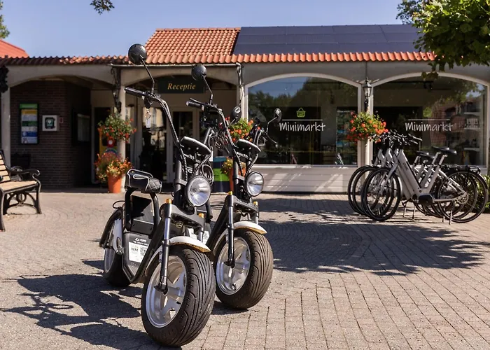 Ferienhaus In Brabant With Garden & Bbq Heikant