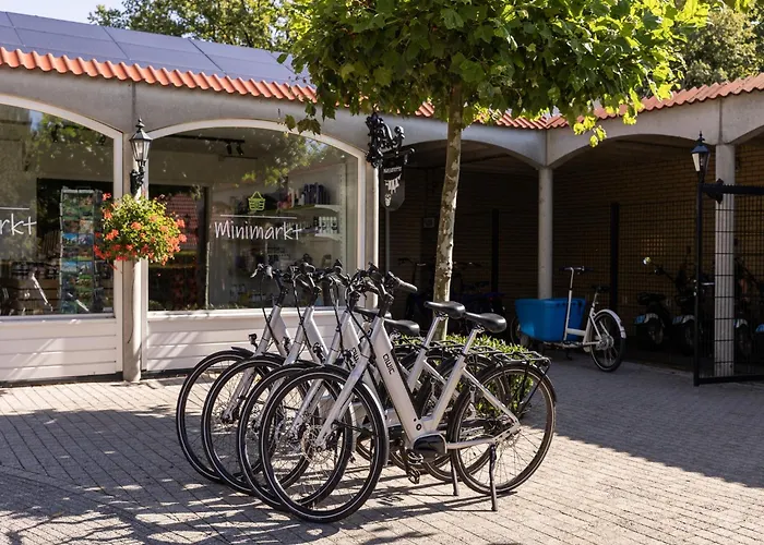 In Brabant With Garden & Bbq * Heikant